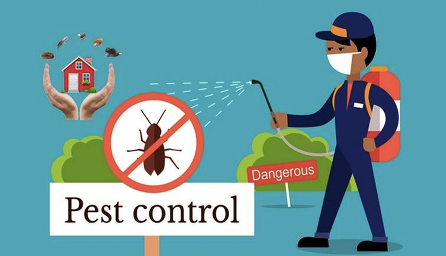 Avata Pest Control